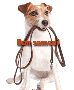 Gif animé Bon samedi chien